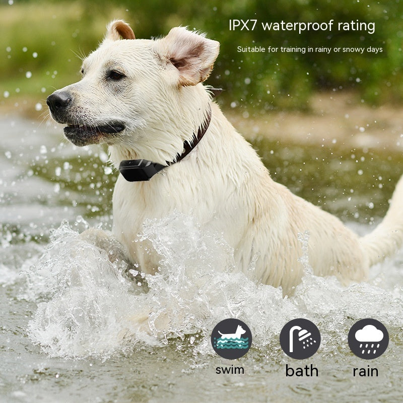 a900ad4f075fbb4ca0d04b64f993cd50