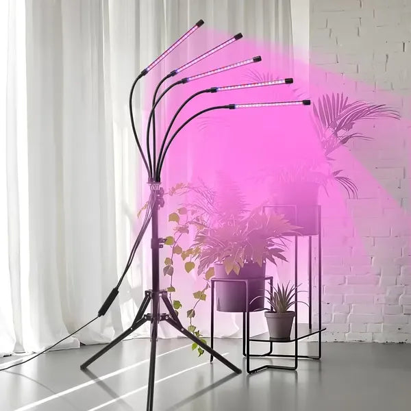 f84998a63c6e1f0cde11f4c922b52a32
