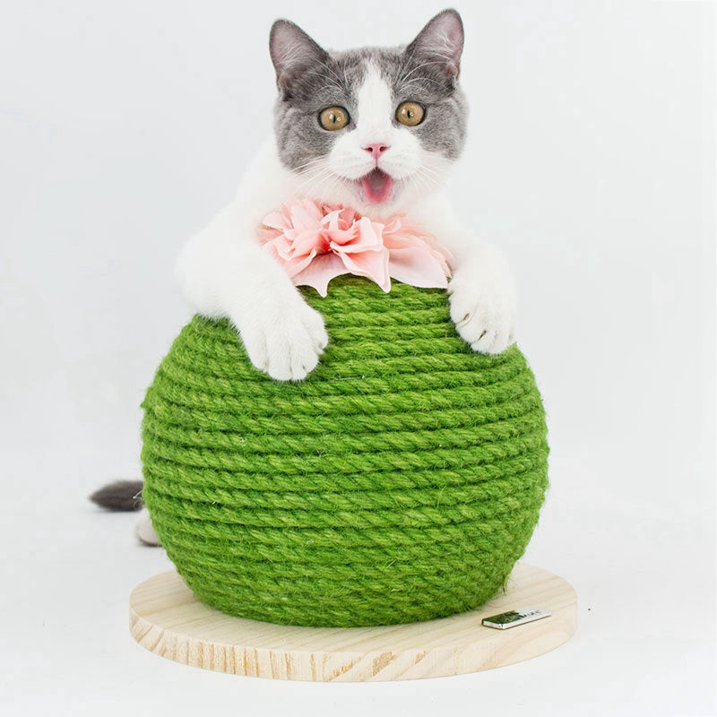 c1e1c8fb62c187fad2d39cbd8987b185