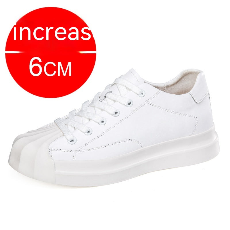 7ce75f95cdda1970415cf270a6d67bcc