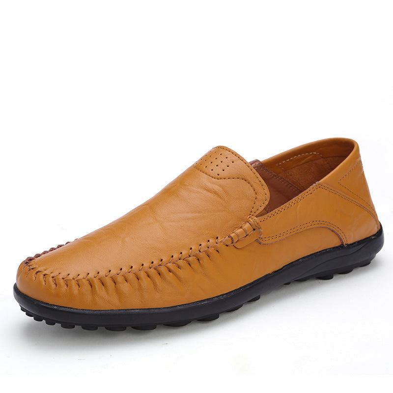 47c56e1d3036357d8284ad2fe61c3a5d