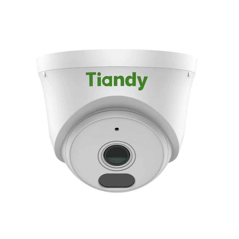 Tiandy TD-C240N POE Camera 265H 3mp Infrared Audio Hemisphere Outdoor Head Waterproof Security Camera 2.8mm/4mm Motion Detection