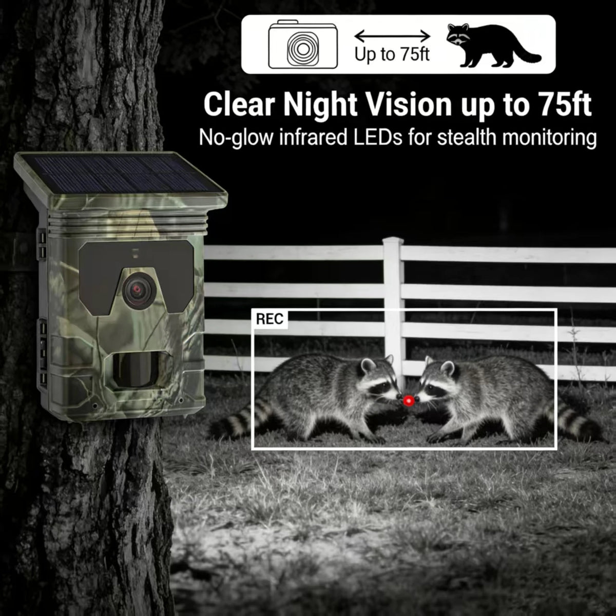 4K 50MP Solar Trail & Hunting Camera – Infrared Night Vision