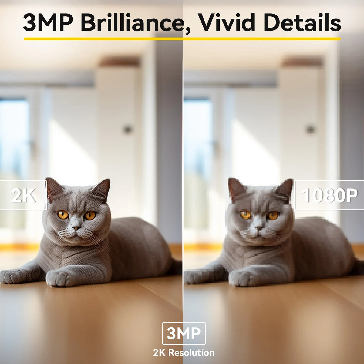 2K Pet Camera with Phone App – Dual-Band WiFi Dog & Cat Monitor with Two-Way Audio