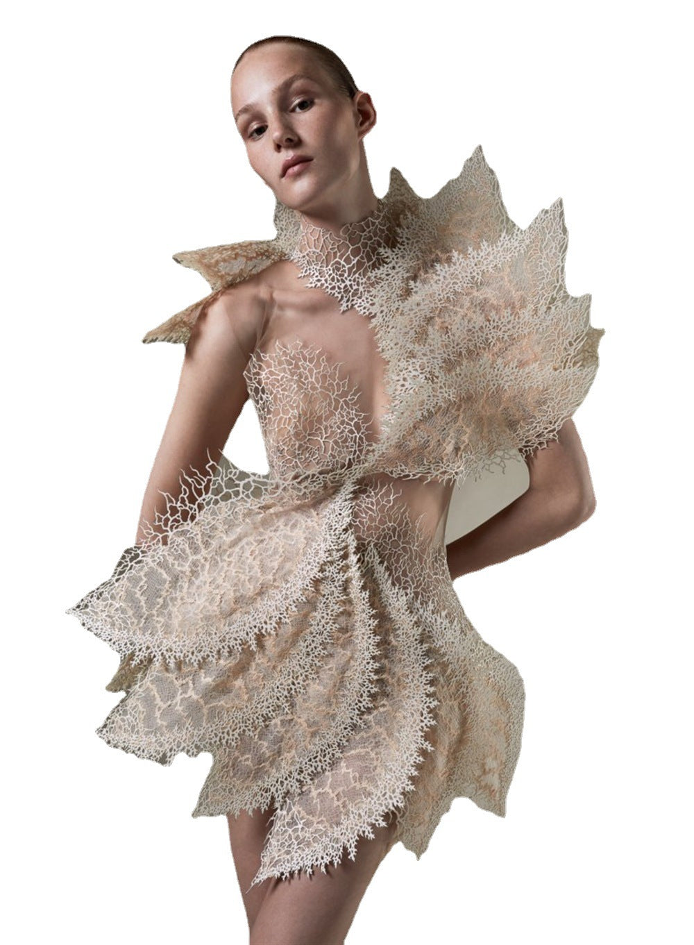 4a12f78635fb7ef2e0ad179eb4f4b5d4