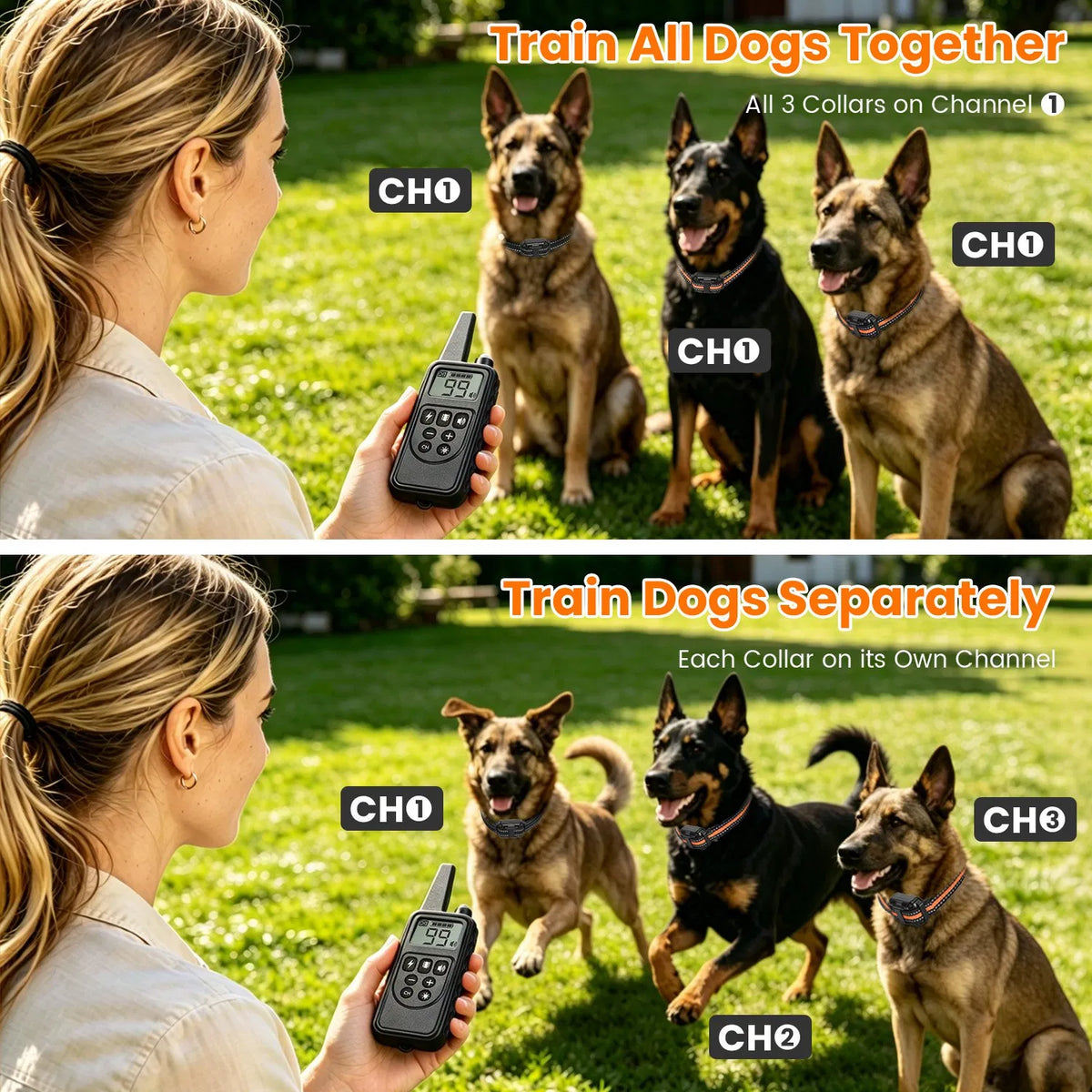 15108e834ef97b6706aad264b3741161