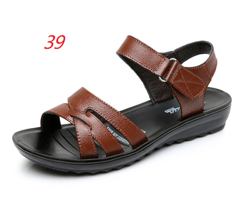 726a177c39aa61b105dd5ccaeccb375a